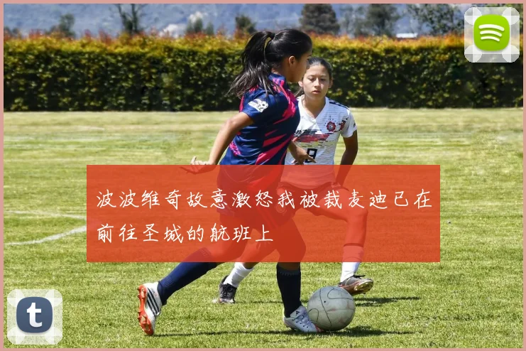 波波维奇故意激怒我被裁麦迪已在前往圣城的航班上