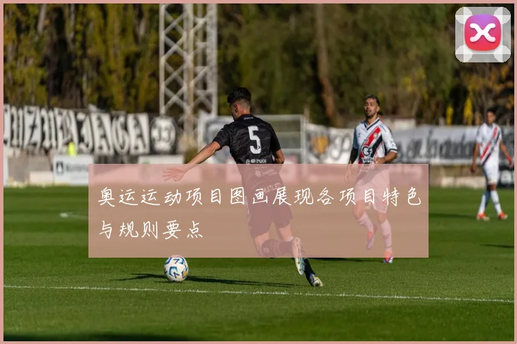 奥运运动项目图画展现各项目特色与规则要点